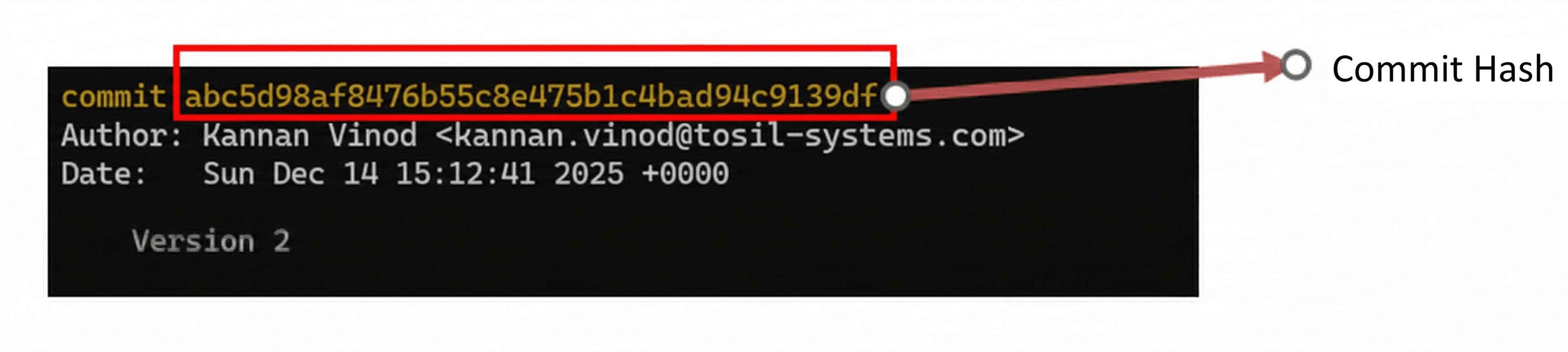 primary areas of git